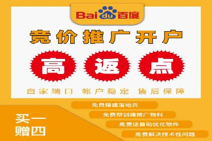 百度推广的成功案例：从零到一的突破